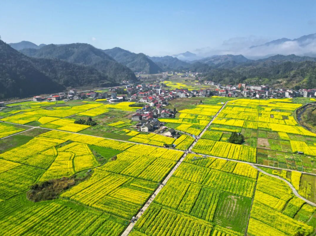 ���ݡ��ڰ��� ���͡��ڿ�Ϫ����2026�����Ͳ˻��ڰ����ֻ᳡��Ļ